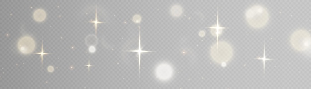 Light effect with lots of shiny shimmering particles isolated on transparent background. Vector