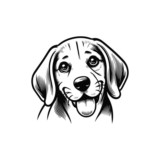 line art beagle dog Beagle line drawingvector artillustrations
