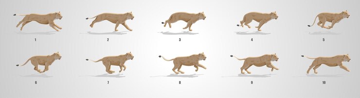 Vektor lioness run cycle animation sequence