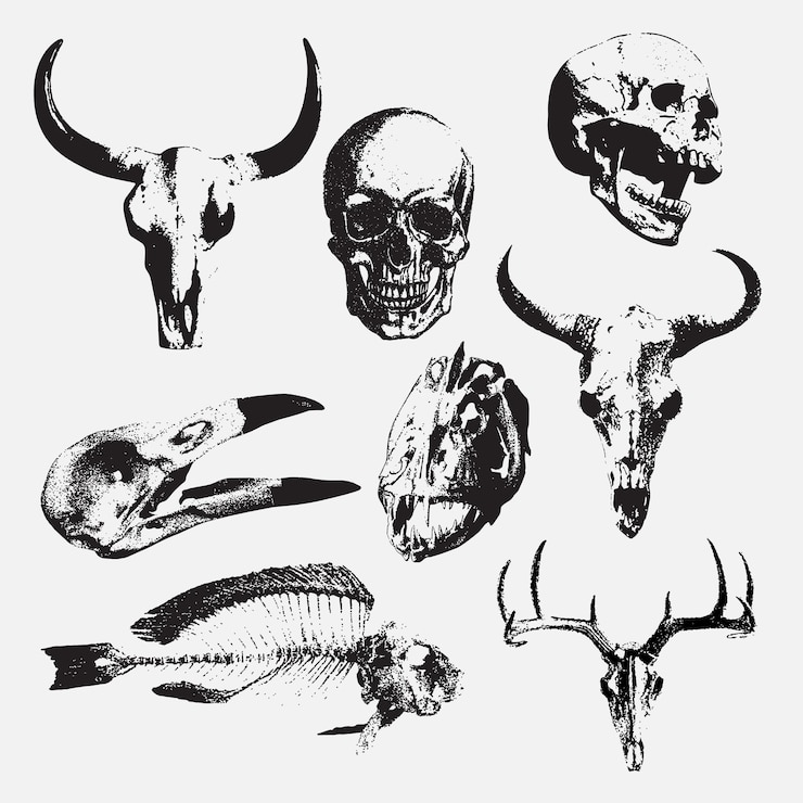 Vektör longhorn skull with halftone stipple effect for grunge punk collage design