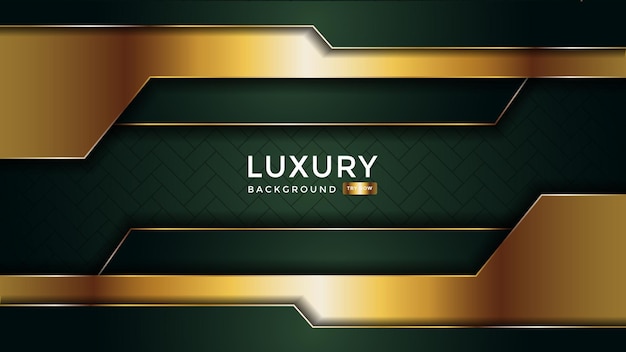 Luxury abstract background with overlap layer on background