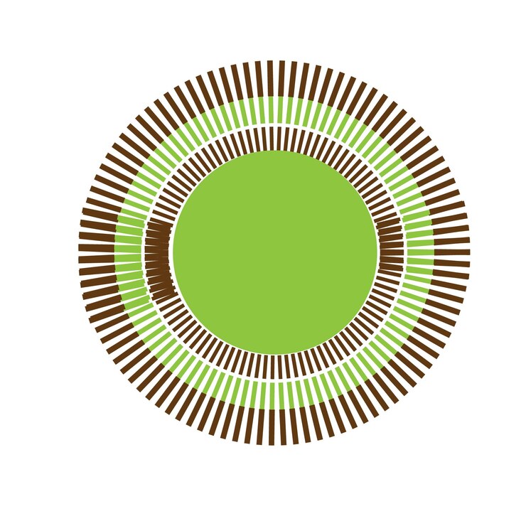 mandala shade round design