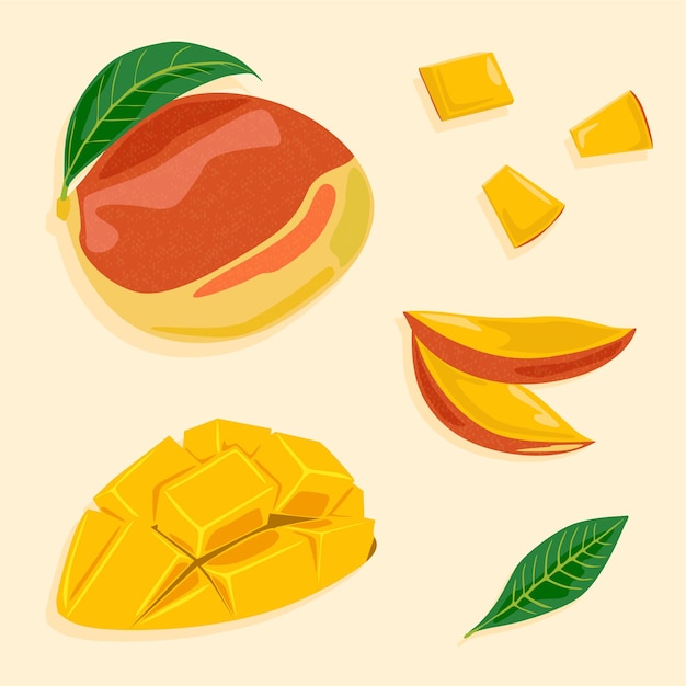 Mango whole and cut into slices with peel and into cubes Juicy tropical fruits Fruit vector icons