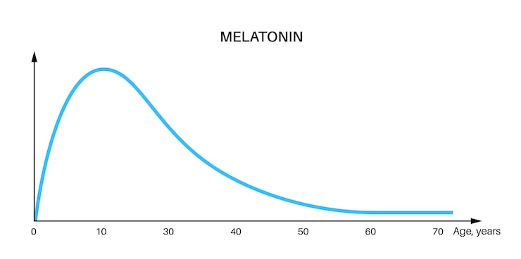 Vektör melatonin graph dependence from years in the human body level of hormone that brain produces in response to darkness sleep wake timing and blood pressure regulation flat vector illustration