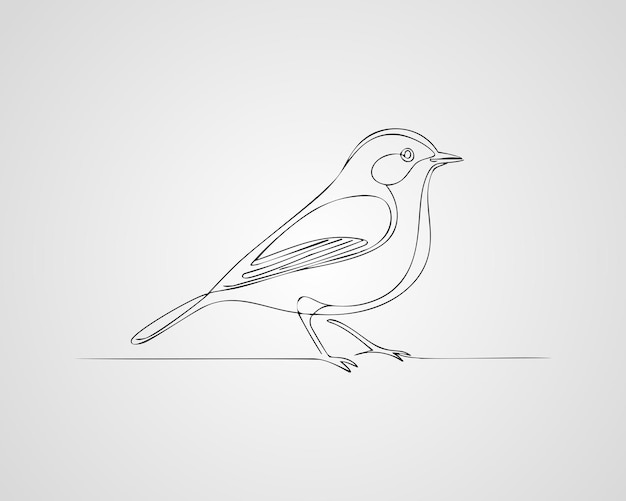 minimalistic bird line drawing illustration