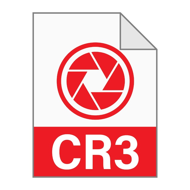 modern flat design of cr3 file icon for web simple style