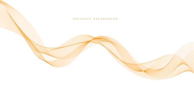 Modern stylish dynamic orange wave background Vector illustration EPS10