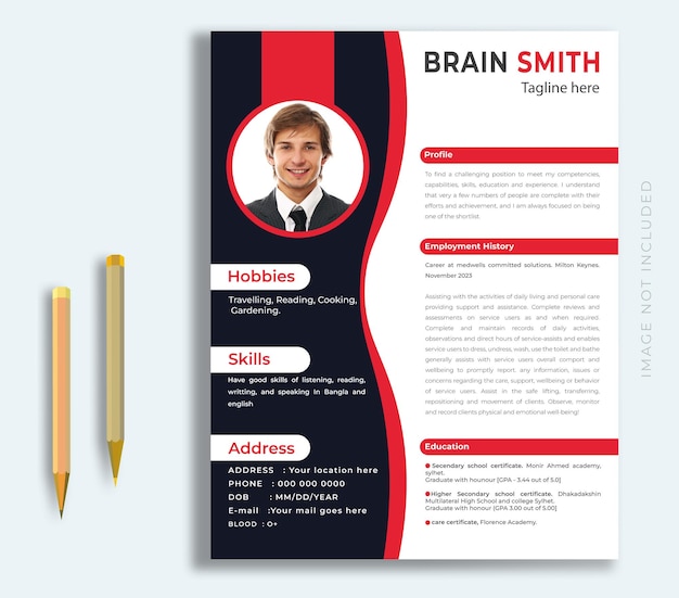 Modern ve Benzersiz Profesyonel İş CV design’ı