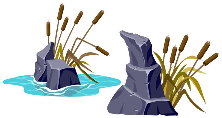 Vektor moss on stone in marsh cartoon rock in swamp jungle sattail salvinia water lily
