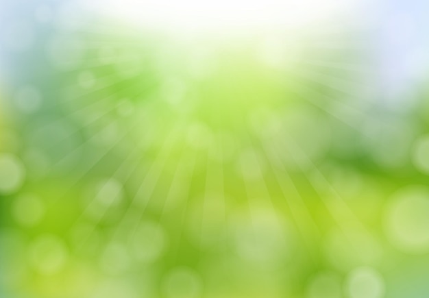 Nature Background With Bokeh And Blur