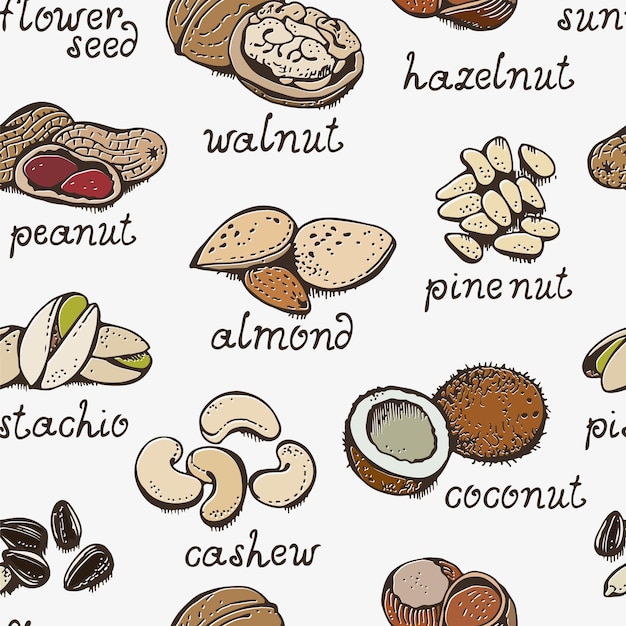 nuts set vector seamless pattern various nuts