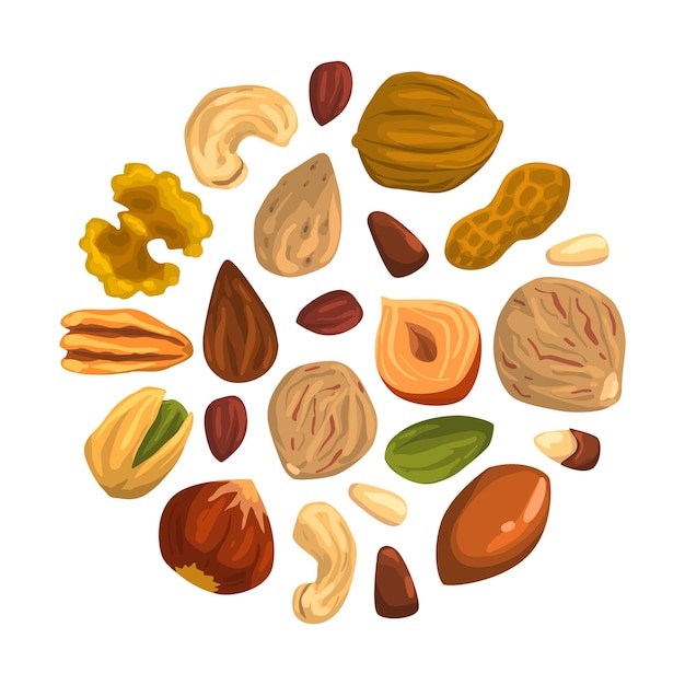 Nuts with cashew and almond arranged in circle vector template