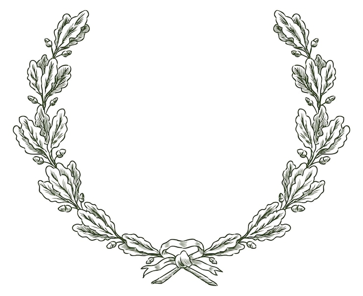 Vektör oak wreath branches ribbon awardsymbol vector hand drawing isolated on white