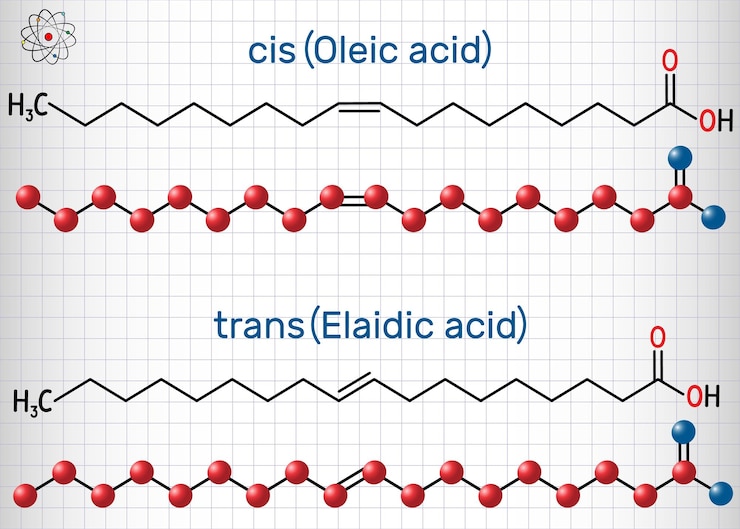 Vektör oleic acid cis and elaidic acid trans omega9 fatty acid isomers structural formula molecule model