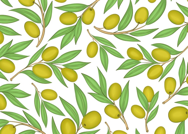 Olive branches Sample Background Multicolored image Vector illustration