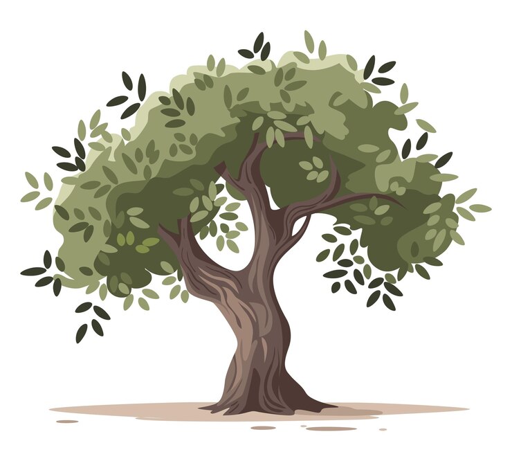 Olive tree Hand drawn watercolor Vector illustration design Icon