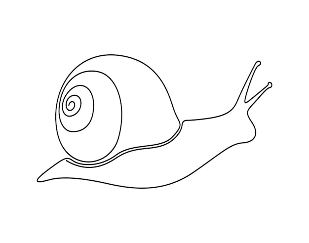 One line drawing of conch snail shell Seashell symbol and banner of beauty spa vector illustration