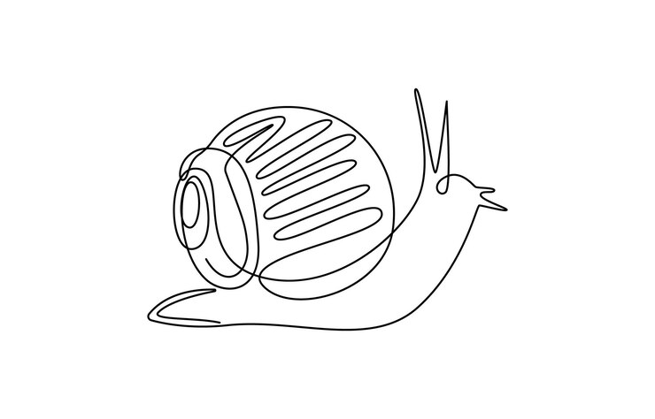 One Line Snail Drawing