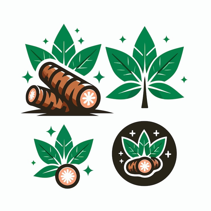 Vektör organic cassava template logo illustration green leaf
