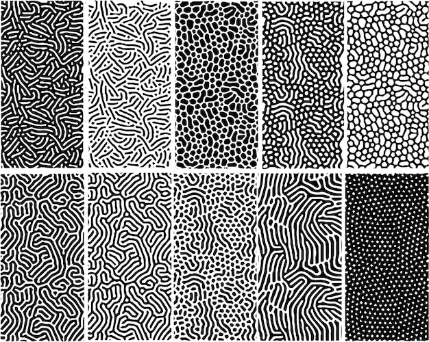 organic lines