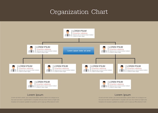 organization chart template