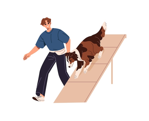 Owner training his Border Collie with agility equipment at dog playground zone Trainer teaching commands with puppy on ramp during walk Flat isolated vector illustration on white background