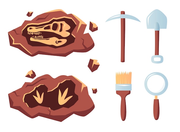 paleontology tools and instruments vector illustration