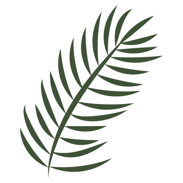 palm leaves drawn with lines in the style of linear art isolated on a white background