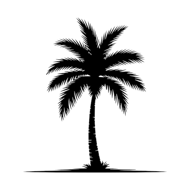 palm tree silhouette