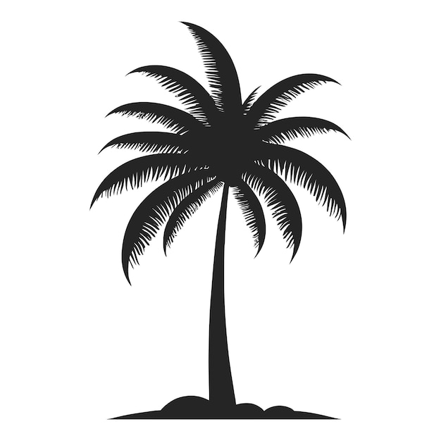 palm tree silhouette