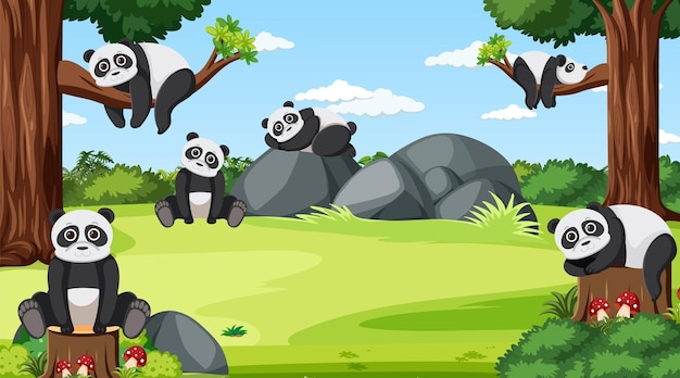 panda bears in the forest scene