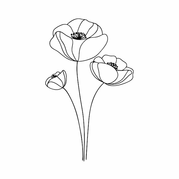 papaver poppy doodle flower black and white with line art hand drawn botanical illustration 15