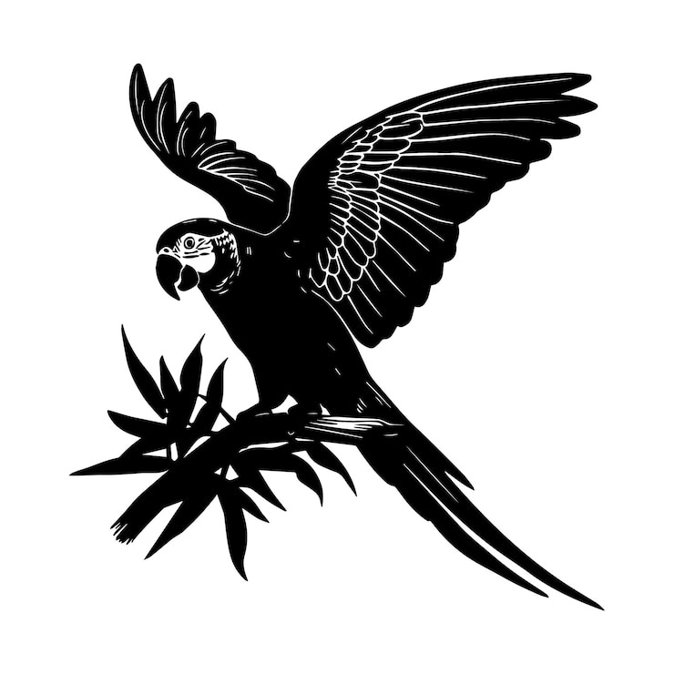 Vektör parrot bird silhouette black isolated on white background
