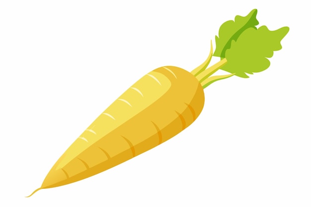 parsnip vector illustration isolated in white background