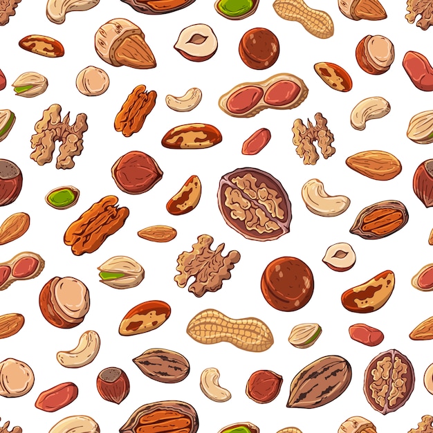 pattern of vector illustrations on the nuts theme.
