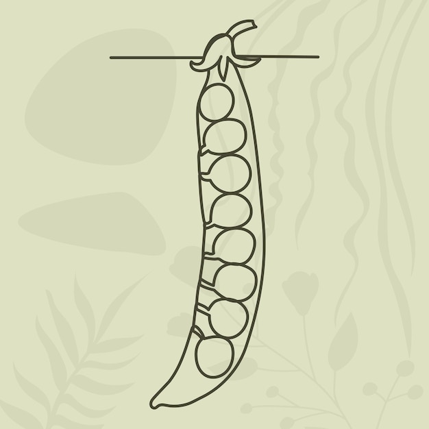 pea drawing in one continuous line isolated vector