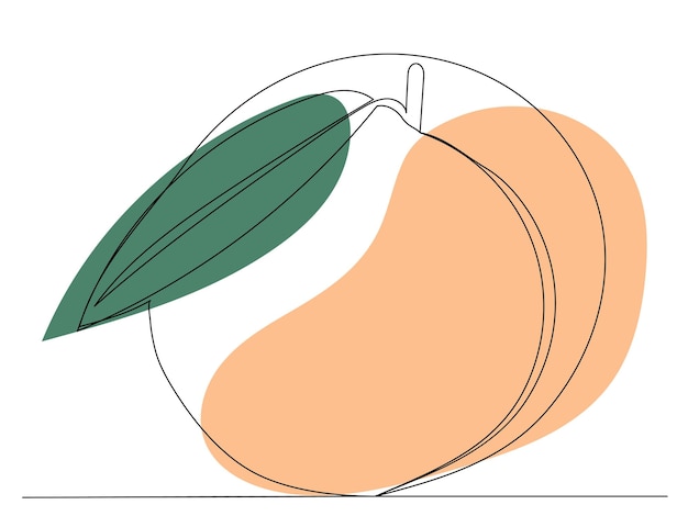 Peach drawing one continuous line vector