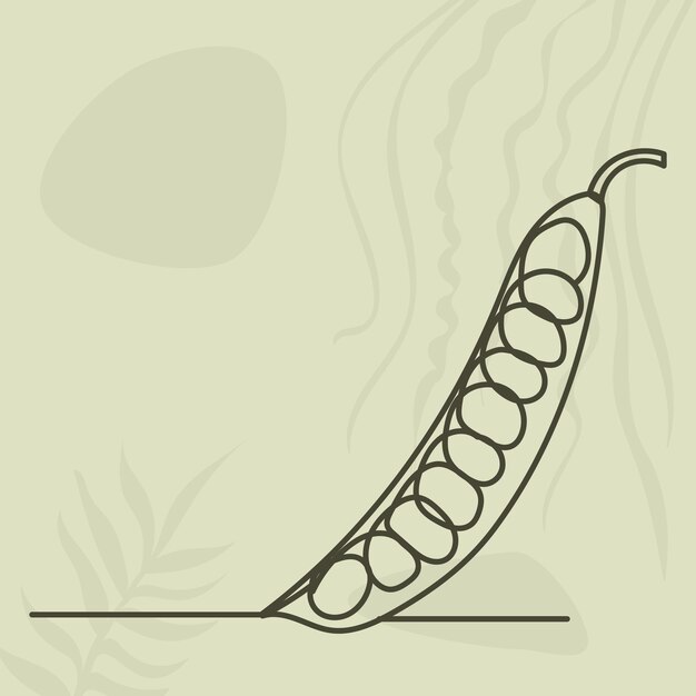 peas drawing in one continuous line isolated vector