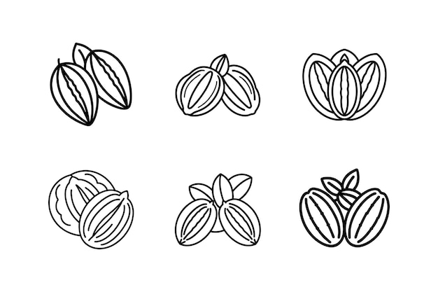 pecans icon line art vector illustration