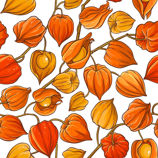 Phisalis branch vector pattern