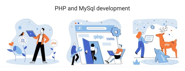 PHP och MySql utveckling Programvara webbplats utvecklare programmerare service programmeringsspråk