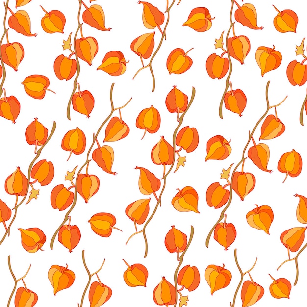 Physalis colorful illustration isolated on white background vector seamless pattern