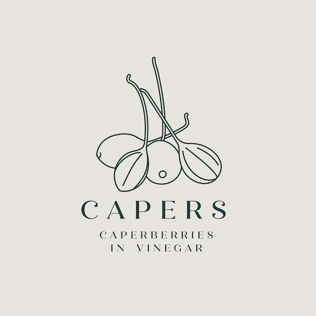 pickled capers - simple linear style. logo composition with caperberries
