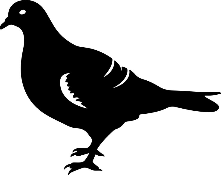 Vektör pigeon silhouette vector illustration white background