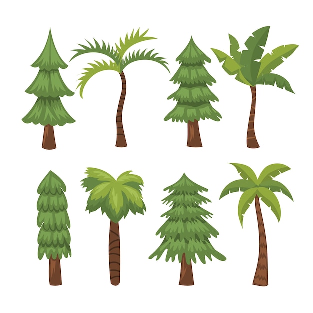 Pine tree and Palm Tree. Evergreen forest, wild nature trees templates. Vector illustration woodland