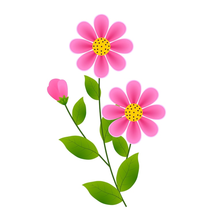 Vektör pink flower isolated on white