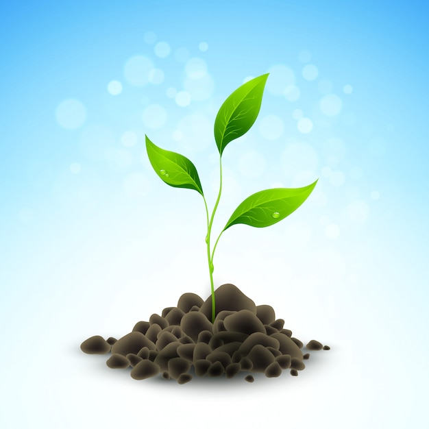 Plante spirende voksende. illustration