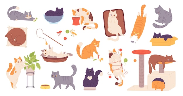 Playful cat poses Purebred kittens play toy purrs fluffy kitty grey ginger stripes relaxation cat eat at plant funny breed pet animal cartoon set garish vector illustration
