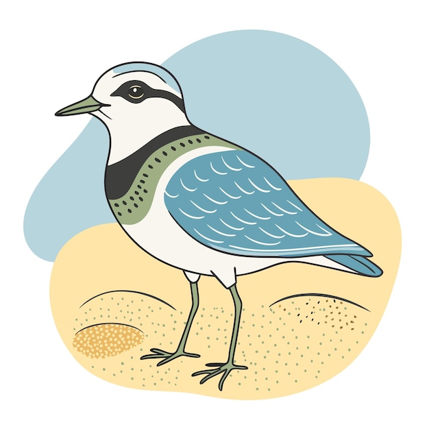 plover bird color blobs vector