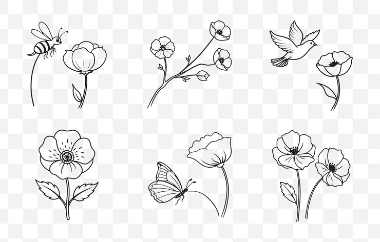 Vektör print elegant poppy flower line art vector set for creative designs and detailed illustrations